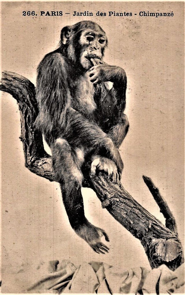 Paris J.des PL 266.jpg