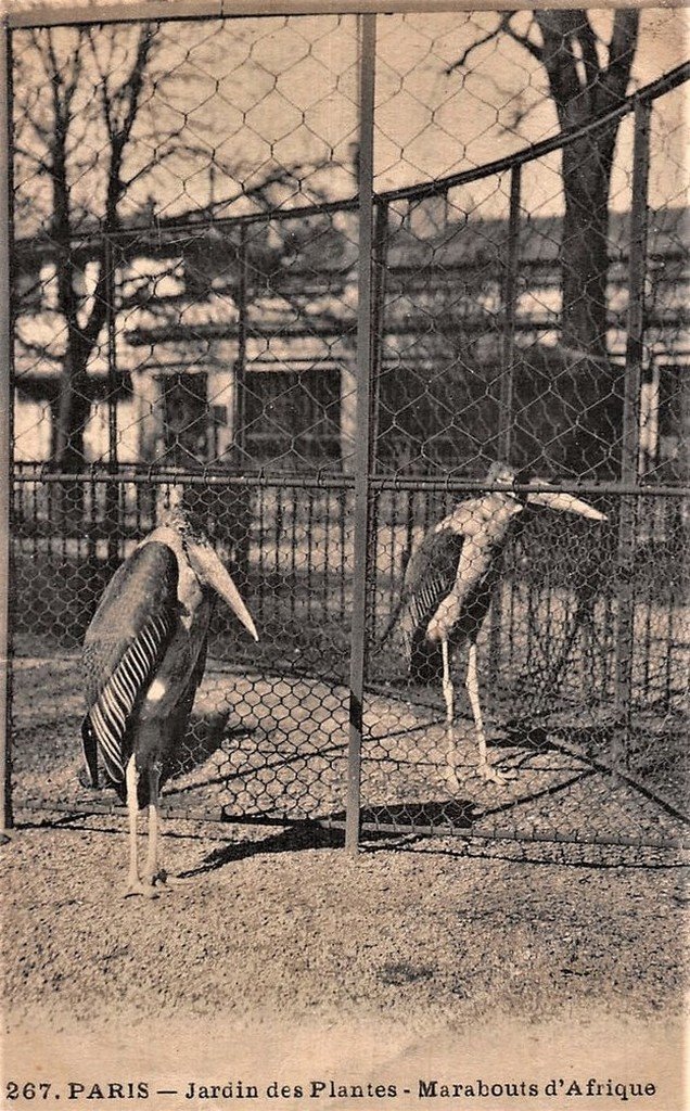 Paris J.des PL 267.jpg