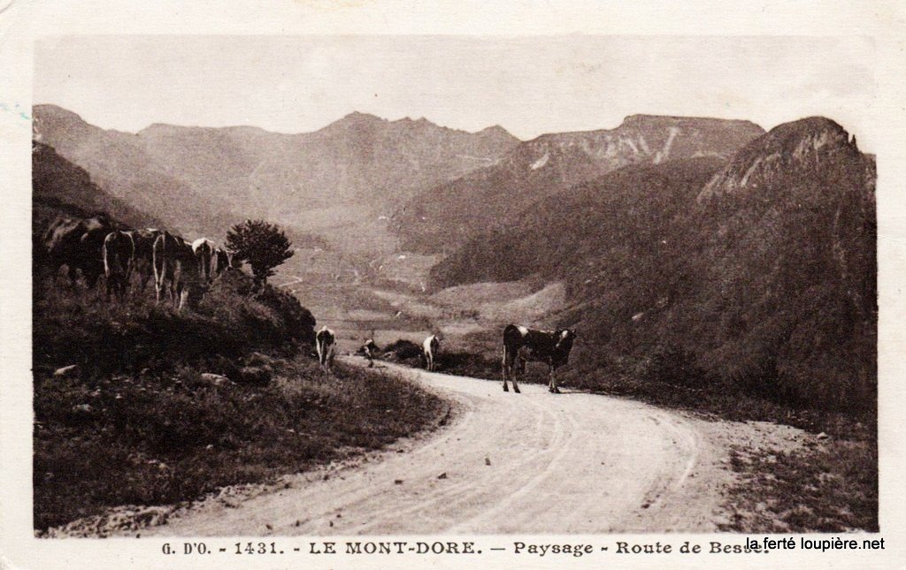 A Bovins Mimi 16-03-26.jpg