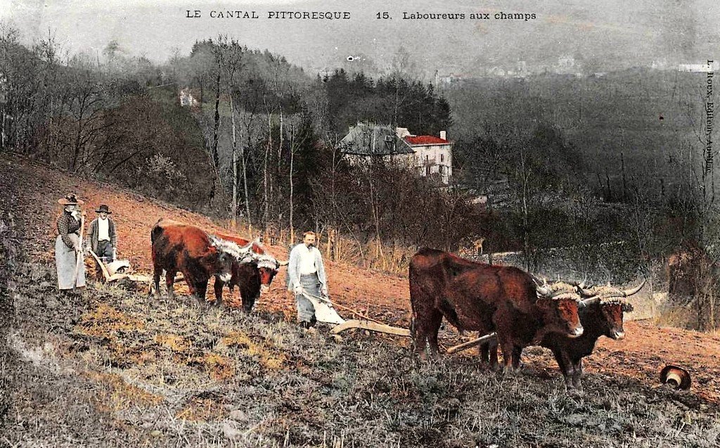 Carte du Cantal 1c.jpg