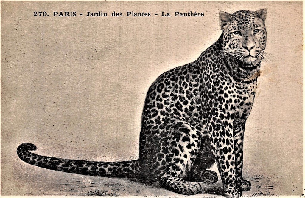 Paris J.des PL 270.jpg