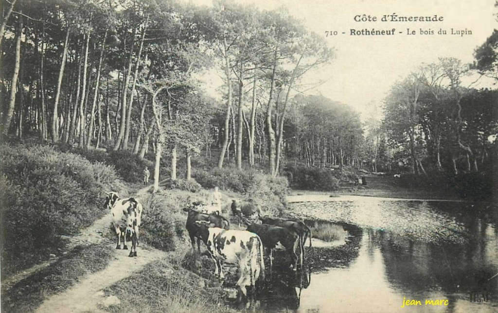 Rothéneuf - Le Bois du Lupin.jpg