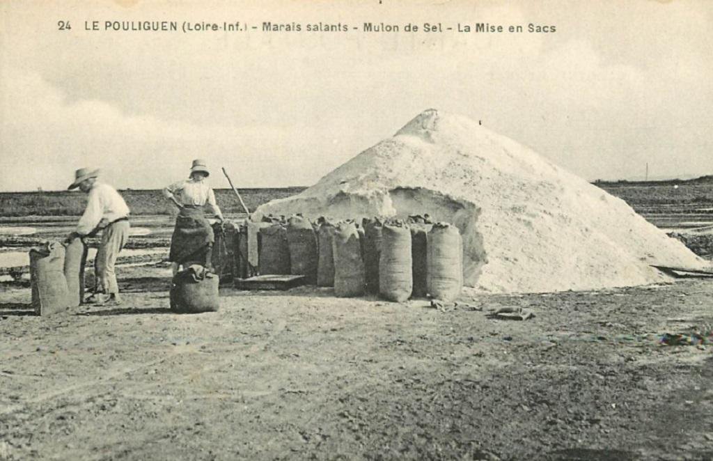 Le Pouliguen 24 marais salants.jpg