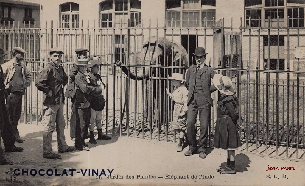 A Éléphant de l'Inde.jpg