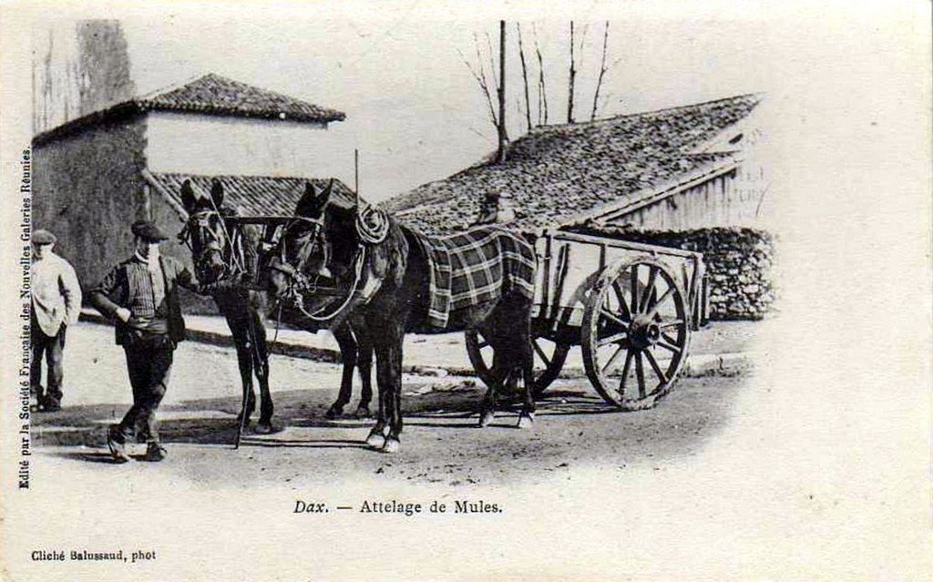 A Attelage Dax 10.jpg