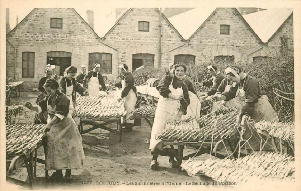 loctudy 1267 sechage.jpg