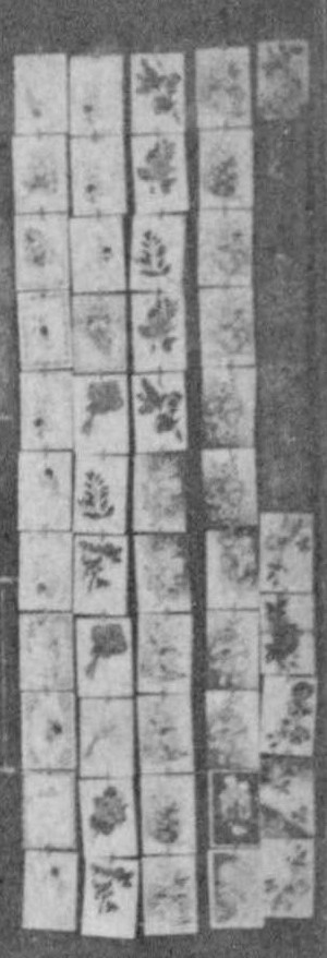 cartes3.jpg