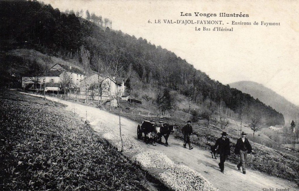 A ttelage Boeufs Le Val d'Ajol - Faymont (6).jpg