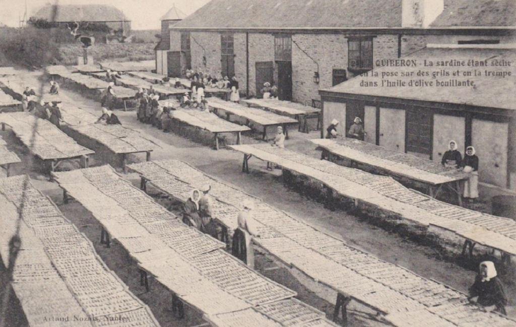 Quiberon Artaud-Nozais 293.jpg