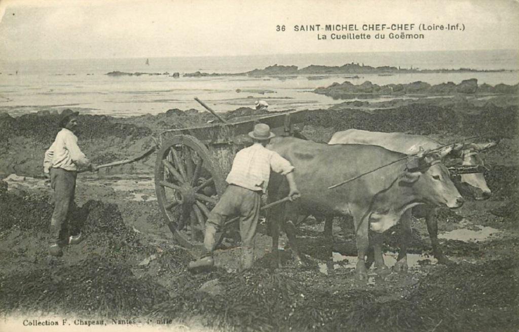 St-Michel-Chef Chapeau 36.jpg