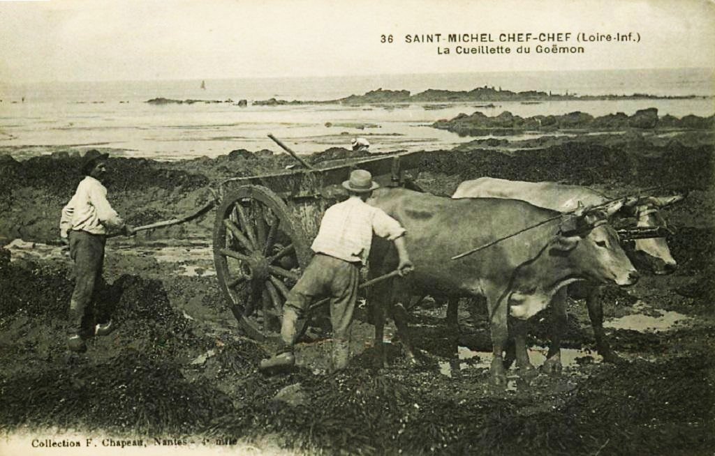 A Attelage St-Michel-Chef Cyril 13-04-2026.jpg