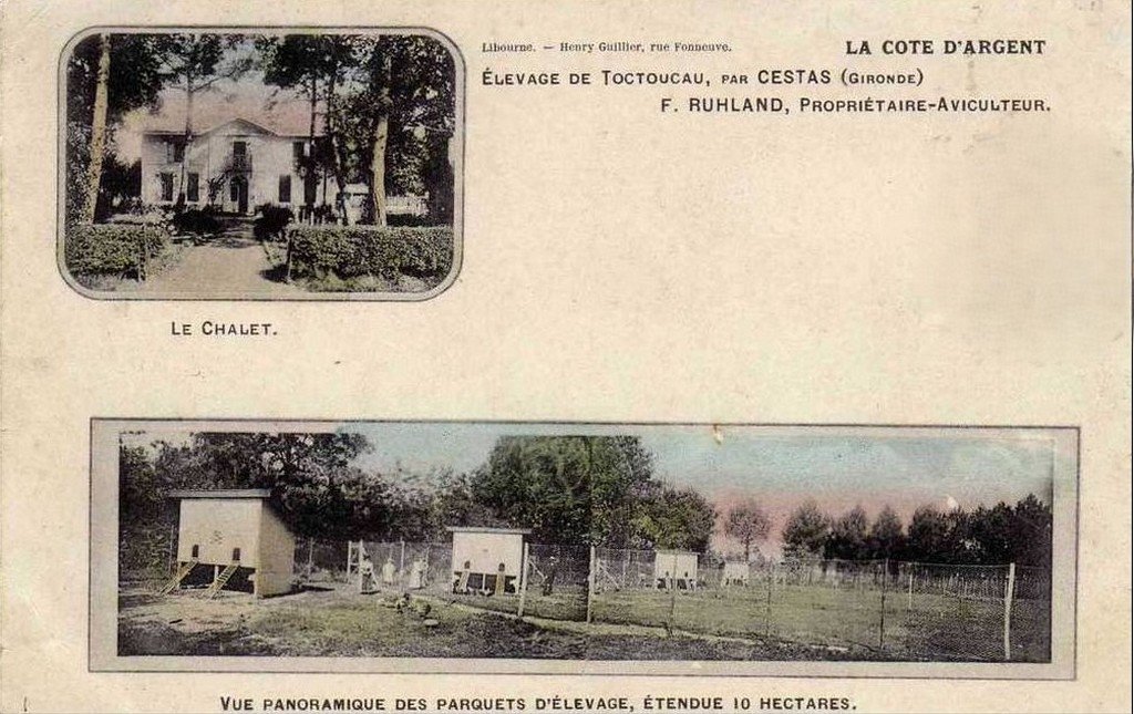 Pessac Toctoucau c.jpg