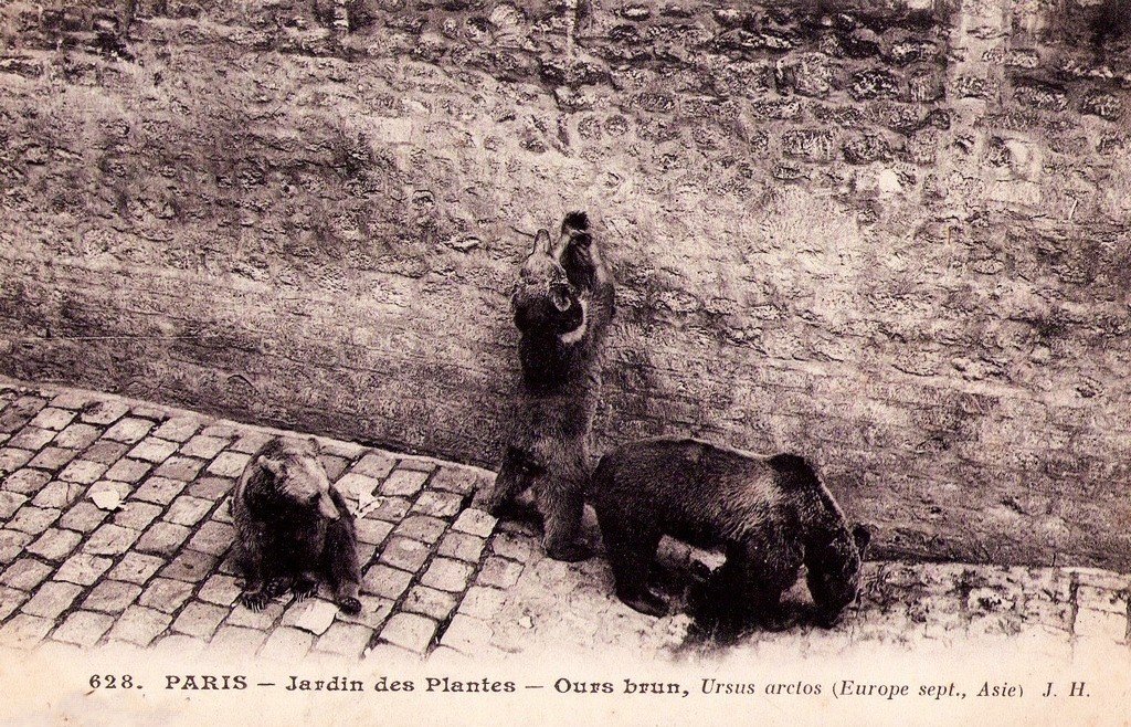 Paris 628 (Sépia).jpg