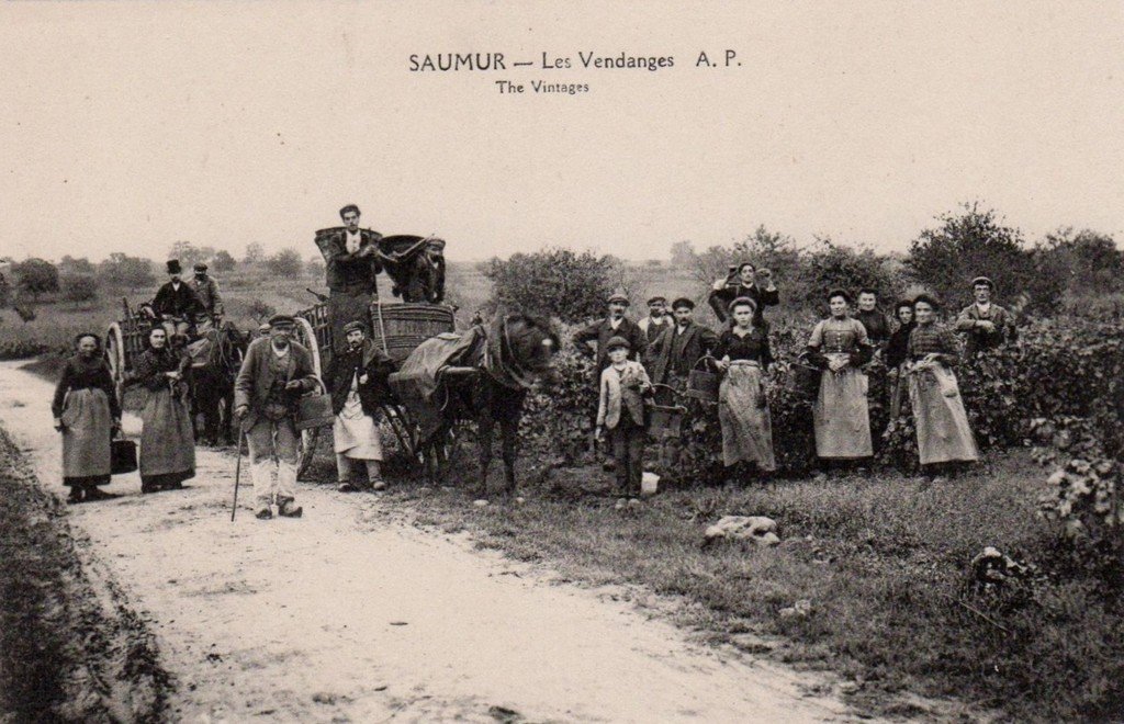 Saumur 49.jpg