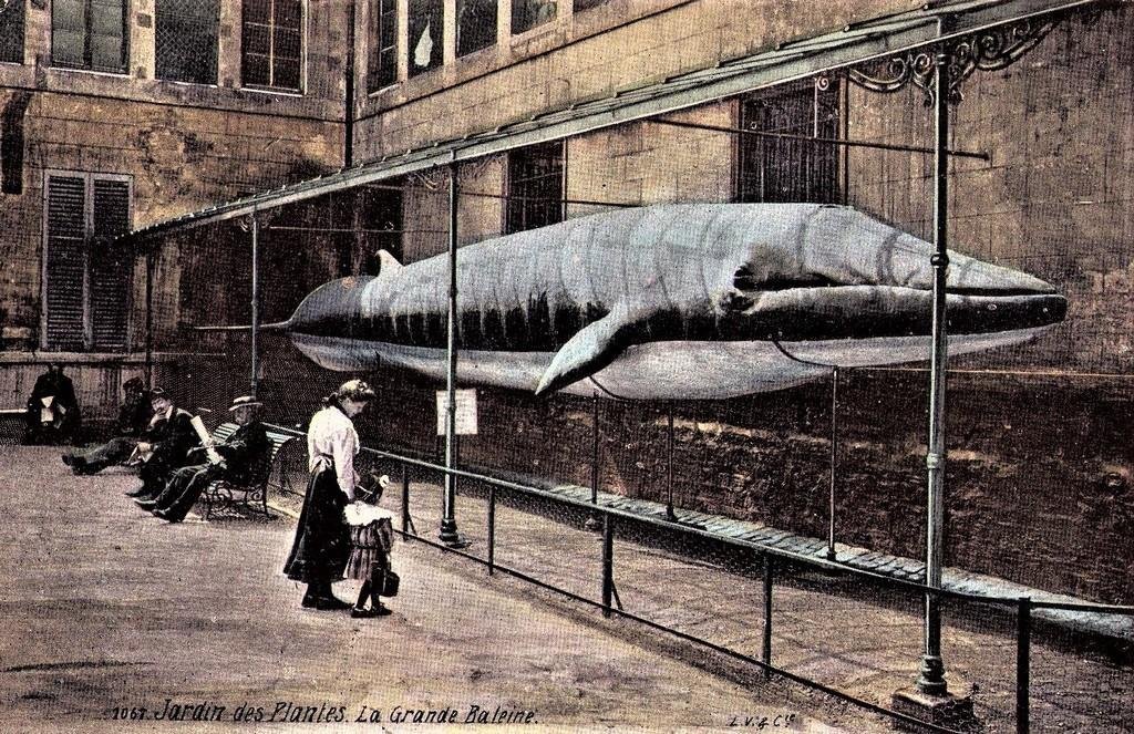 Paris Jardin des Plantes__ 1067.jpg