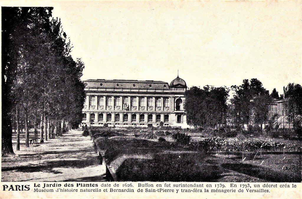 Paris J des P..jpg