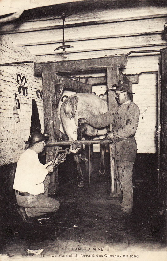 59 - Mine.jpg