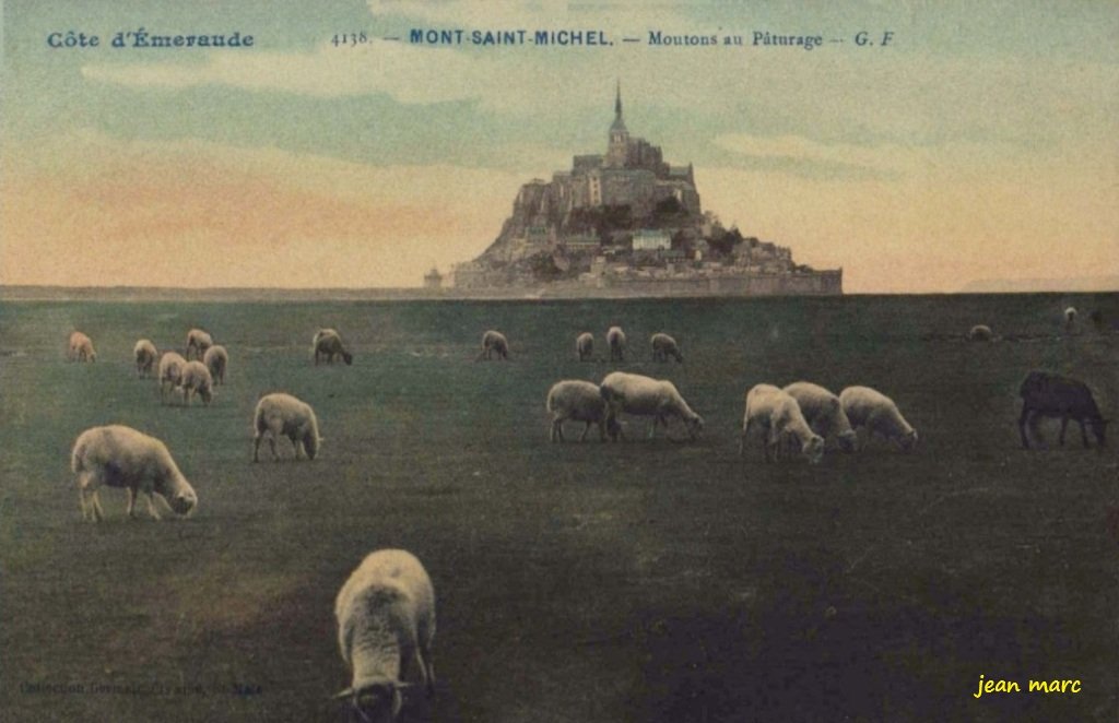 Mont-Saint-Michel – Moutons au Pâturage.jpg