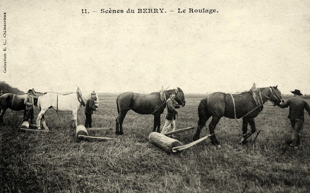 Berry 11.jpg