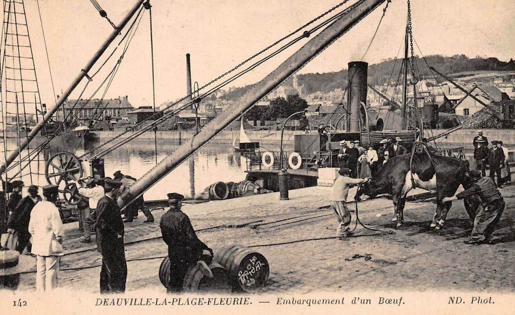 Deauville 142.jpg