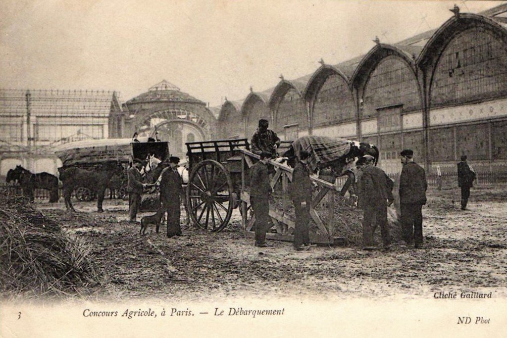 Paris Concours Agricole.jpg