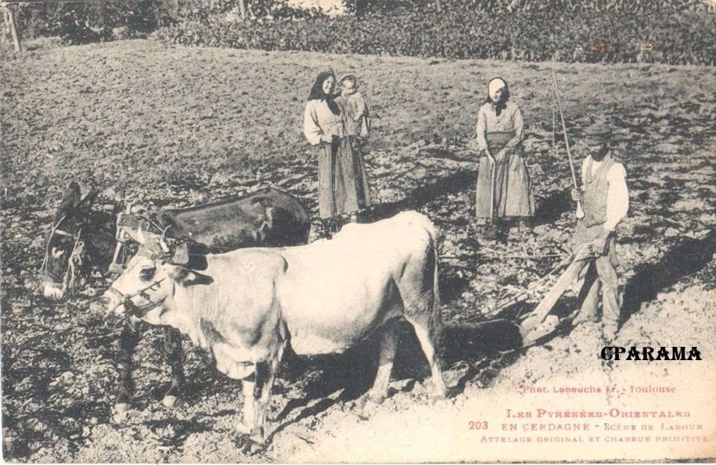 Cerdagne Labouche 203.jpg