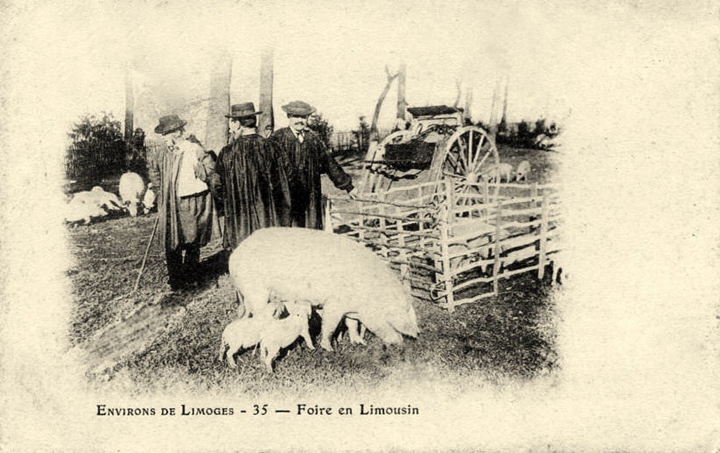 Limoges 35.jpg