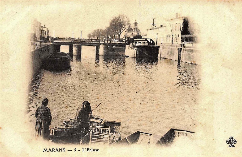 Marans 5.jpg