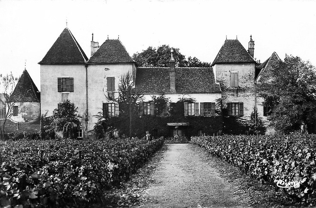 Pommard.jpg