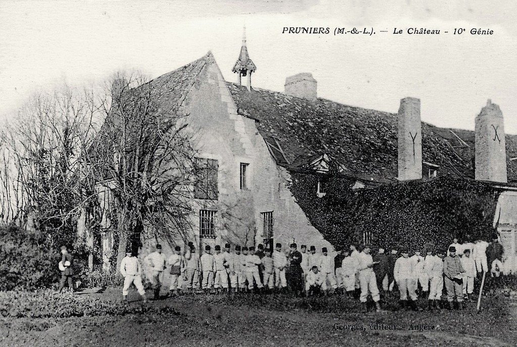 Pruniers 8.jpg