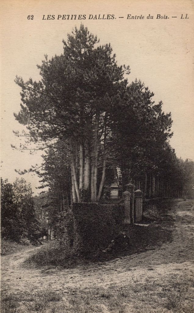 76 - LES PETITES DALLES - 62 - Entrée du Bois - LL - 13-06-26.jpg