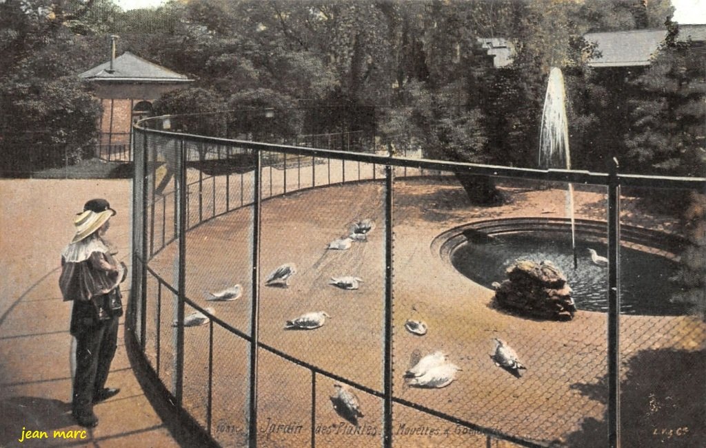 Paris - Jardin des Plantes - Mouettes et goëlands.jpg