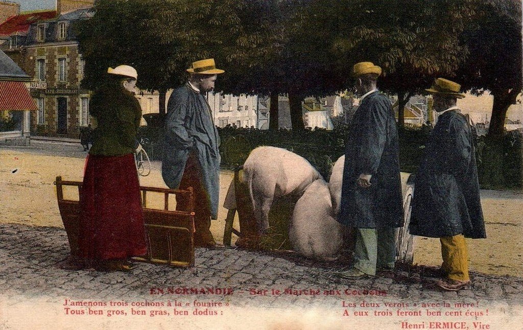 A Cochon  en Normandie Vire.jpg