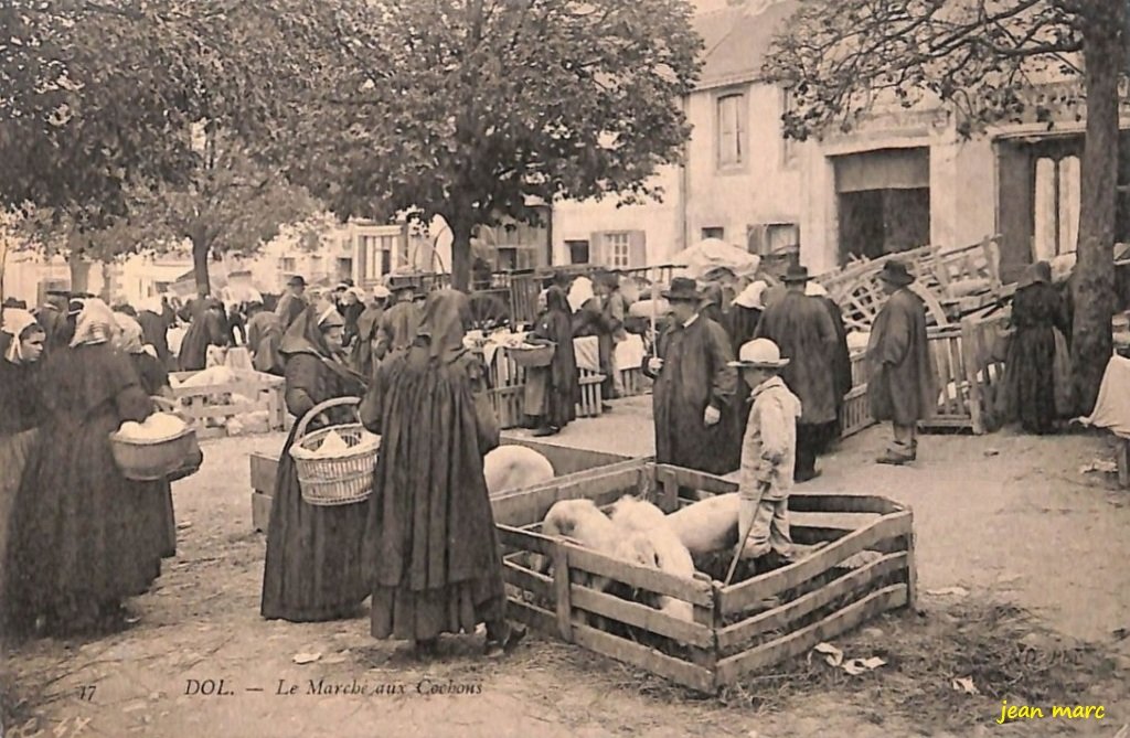 Dol-de-Bretagne - Le Marché aux cochons.jpg