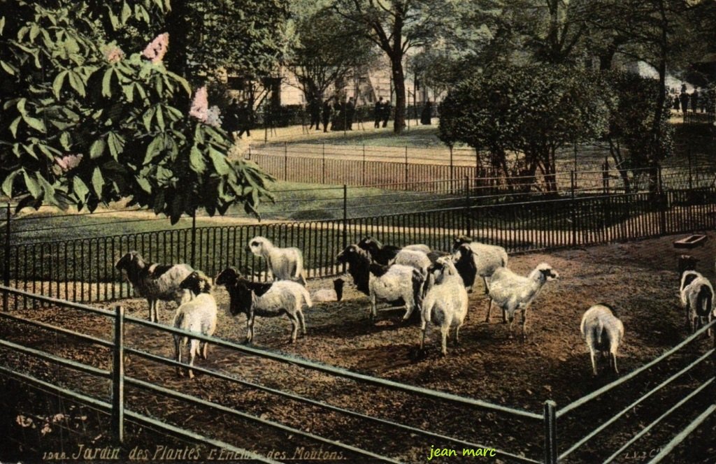 Paris - Jardin des Plantes - L'Enclos des Moutons.jpg