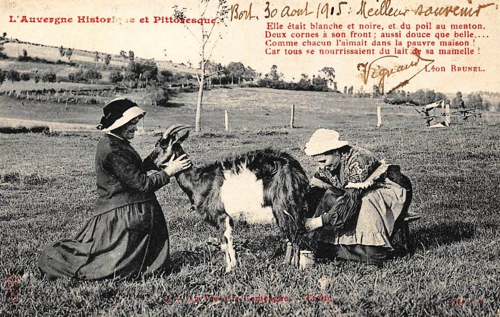 Auvergne 63 Brunel.jpg