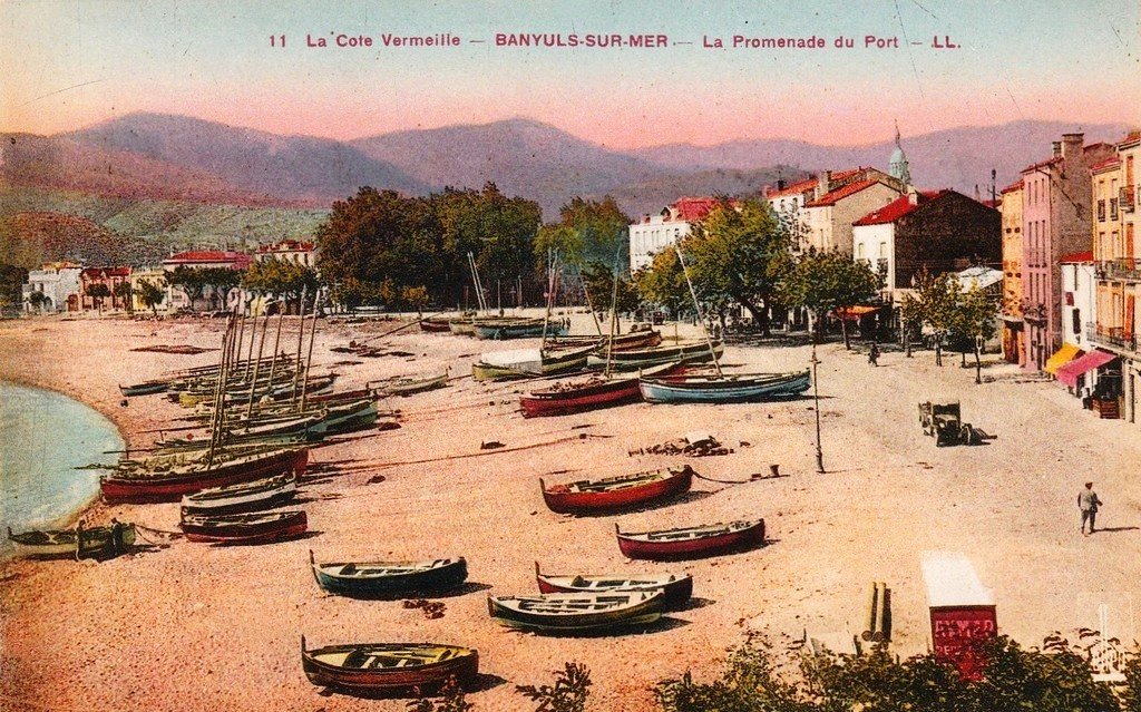 Banyuls 11.jpg