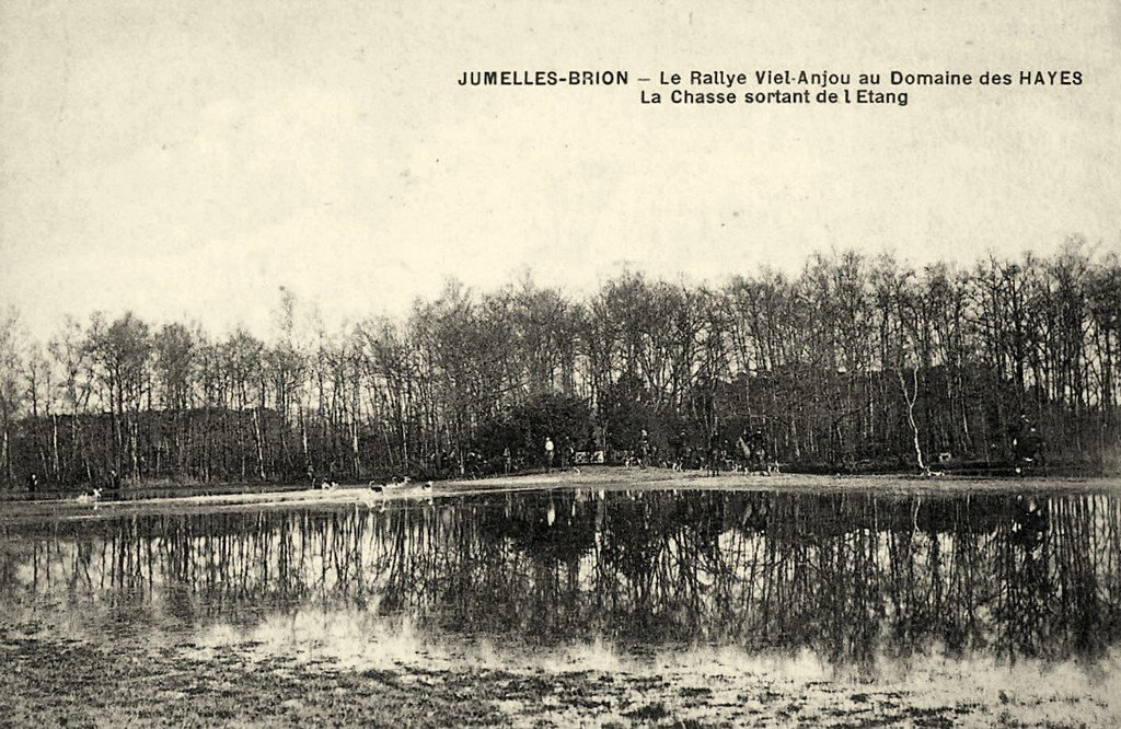 Brion 49.jpg