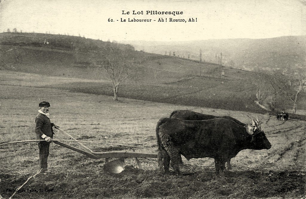 Carte du Lot 62.jpg