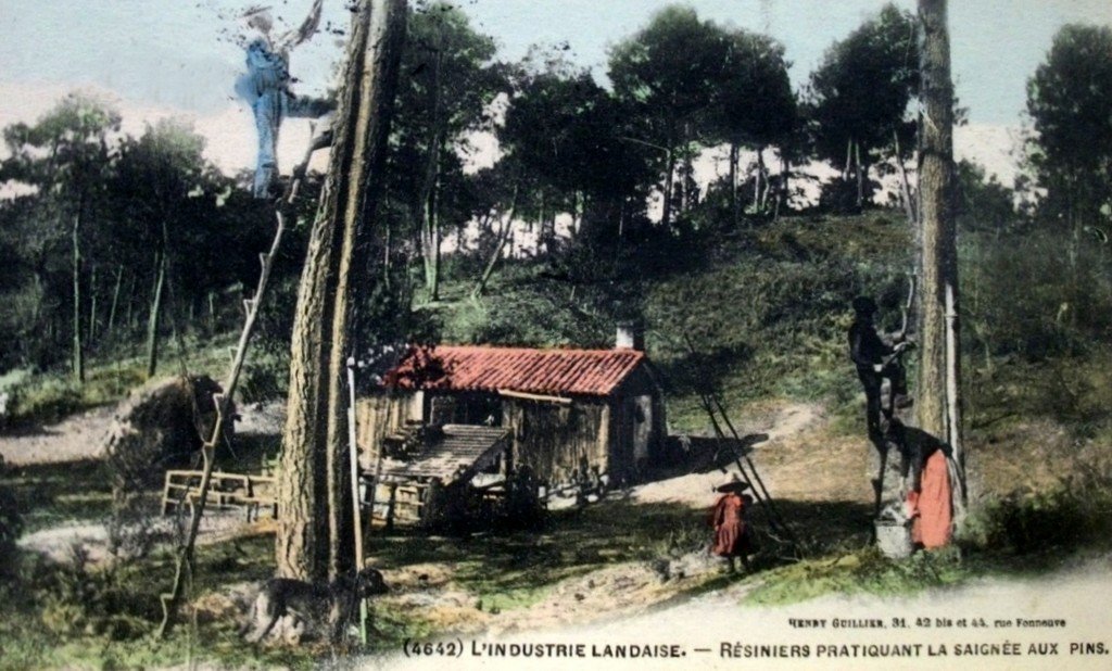 Carte Landes 4842c (1183).jpg