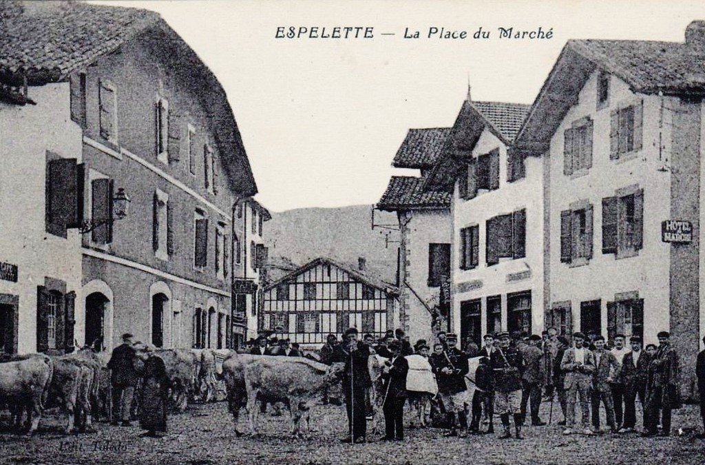 A Bovins Espelette 64..jpg