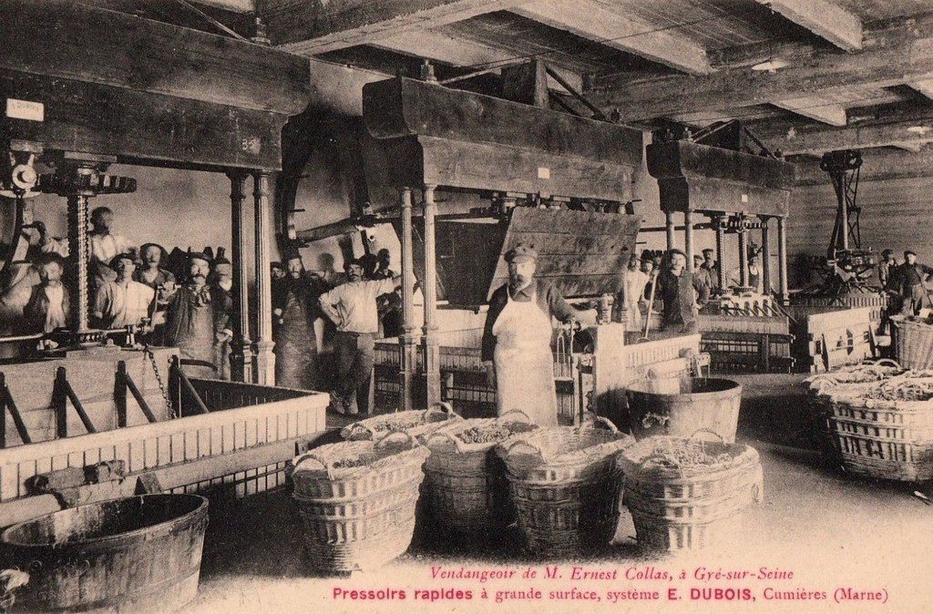 Gyé 10.jpg