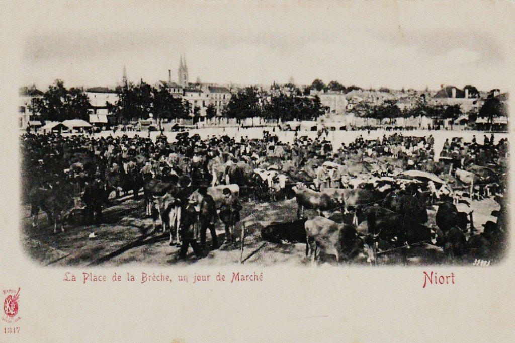 Niort 1317.jpg