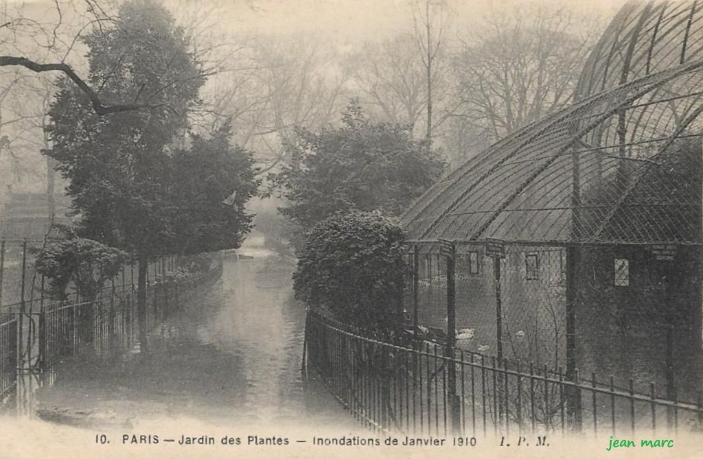 Paris - Jardin des Plantes - Inondations de Janvier 1910.jpg