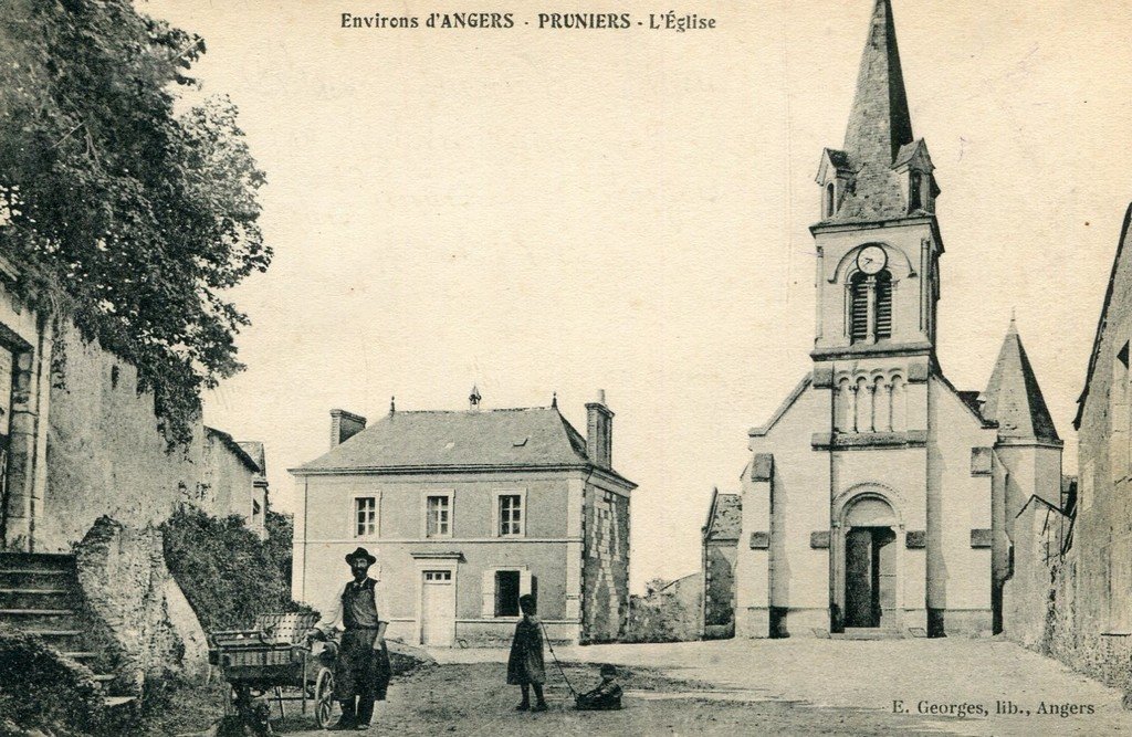 Pruniers 49.jpg