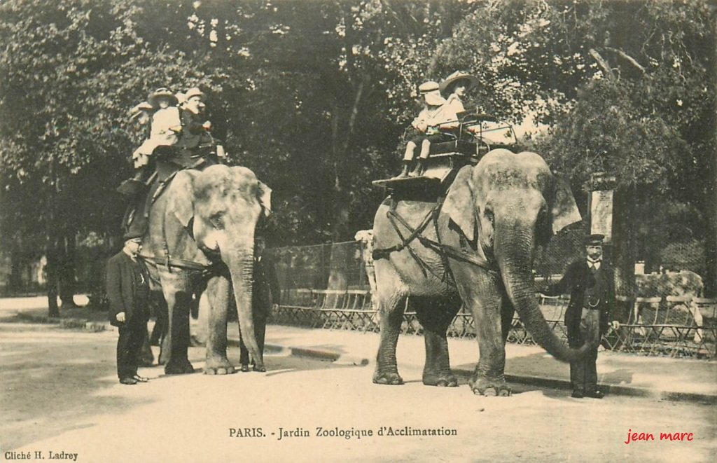 Paris XVIe - Jardin Zoologique d'Acclimatation de Paris Cliché H. Ladrey.jpg