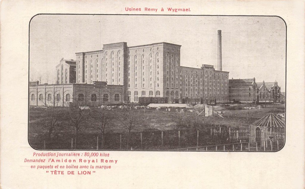 Remy Weygmael Belgique.jpg