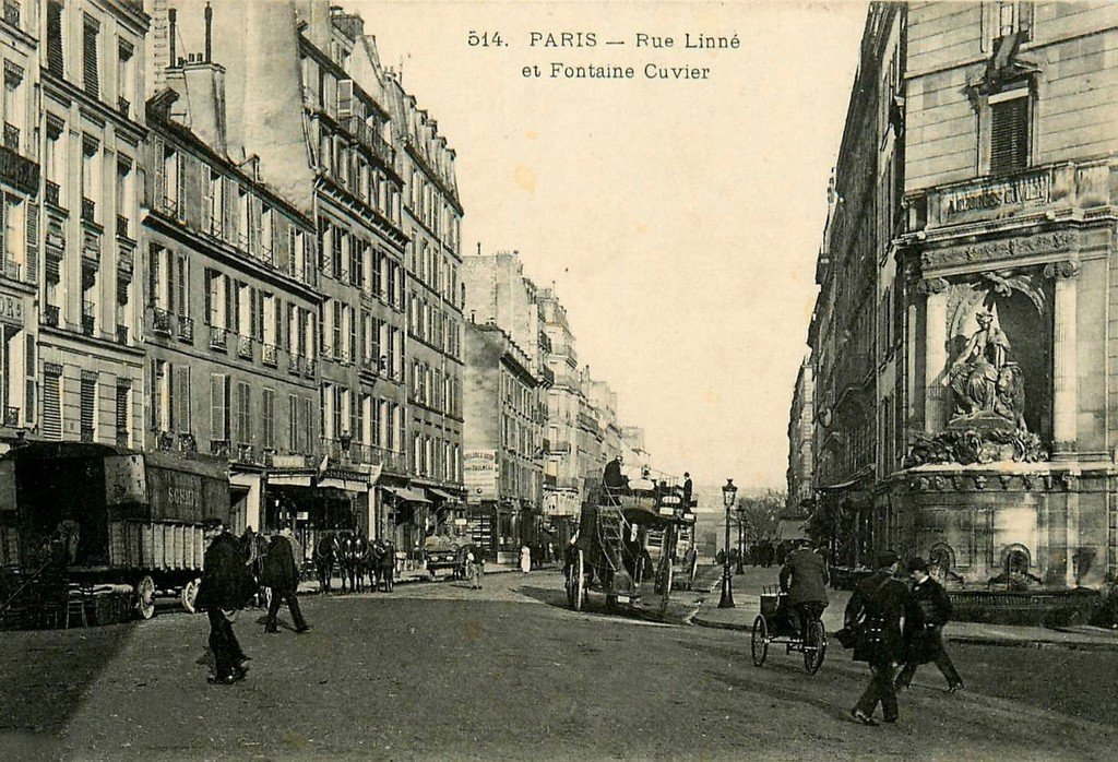 Paris Rue Linné 514.jpg