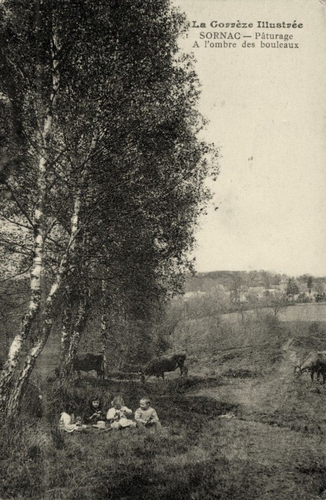 Sornac 19.jpg