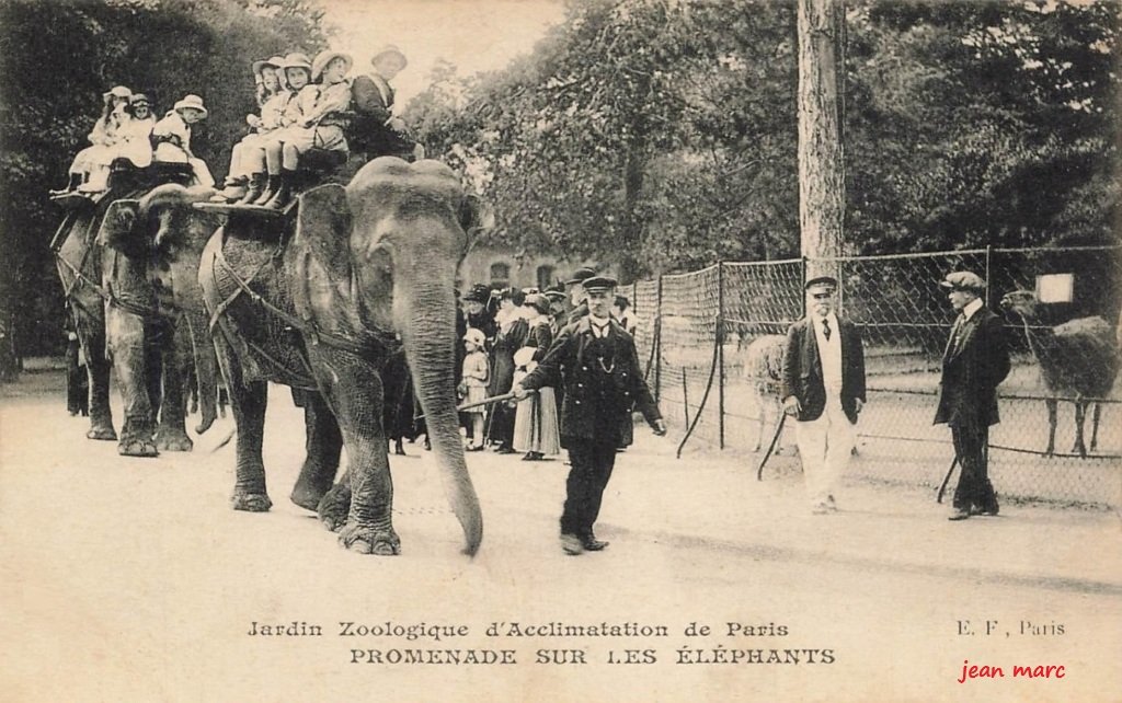 Paris XVIe - Jardin Zoologique d'Acclimatation de Paris - Promenade sur les Éléphants E.F..jpg